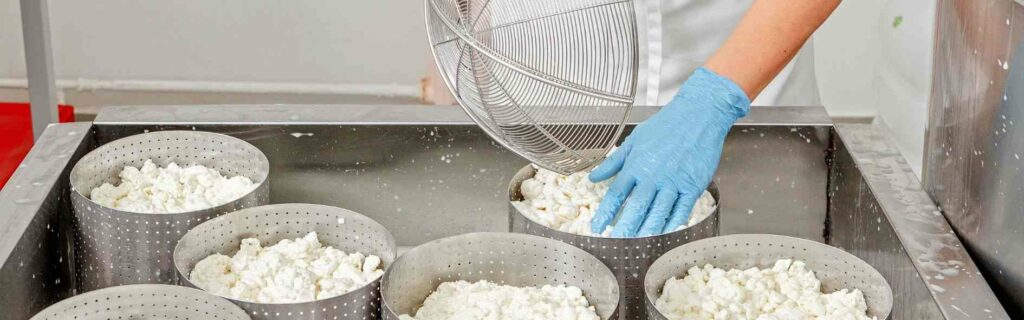 Descubre como hacer queso