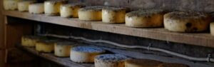 Qué aprenderás a través del máster online en elaboración de quesos