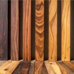 Tipos de madera: guía básica para elegir la mejor
